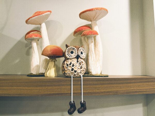 Owl on a shelf